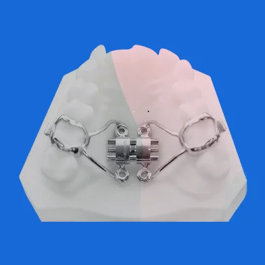 Orthodontic Treatment For Adults